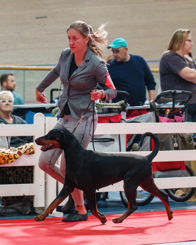 onze kennel